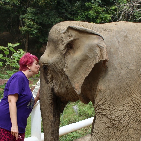 Meet your Posher, Lyric - Picture 1 of 1